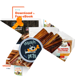 Wyldlifepets Web Design Corporate Identity